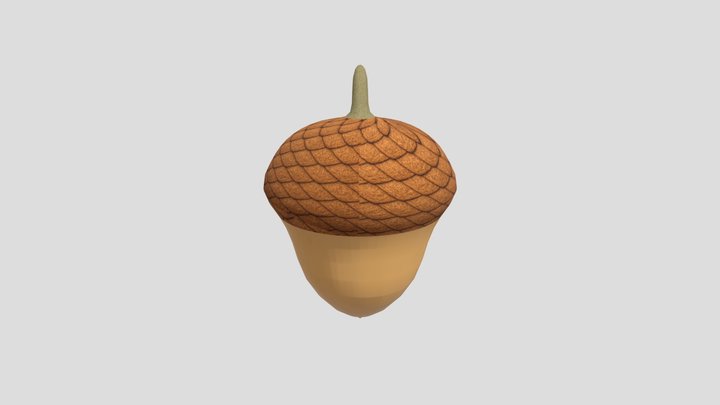Acorn 298 3D Model