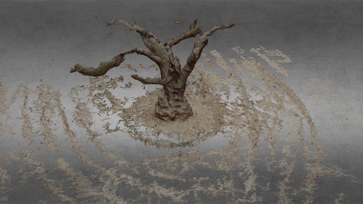 olivi_3d 3D Model