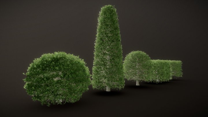 Boxwood Collection 3D Model