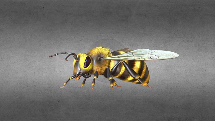 Bee (From Windows 10) 3D Model