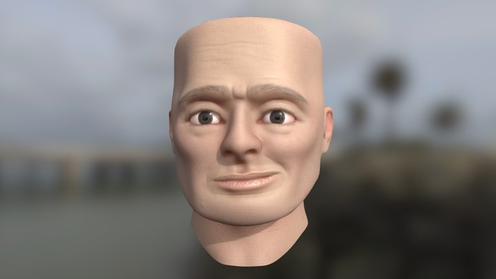 Realistic Man Face 3D Model