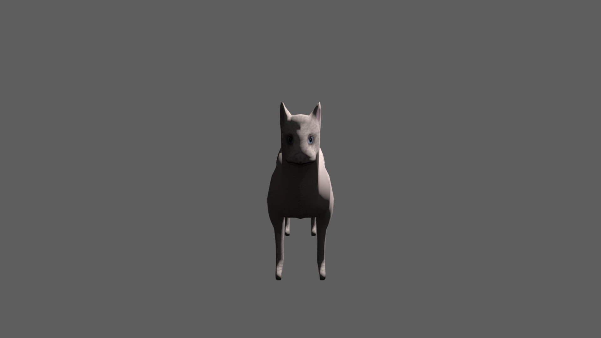 Cat Model