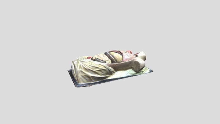 AnatomicalTorso 3D Model