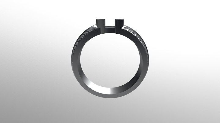 Braided Ring New 3D Model