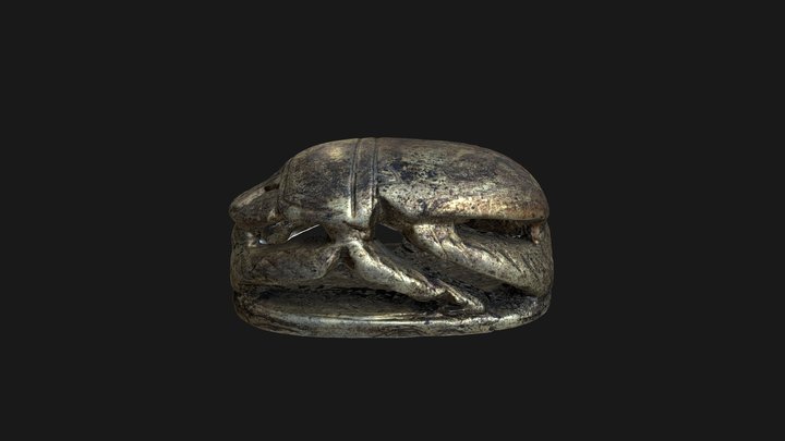 Scarabée 3D Model