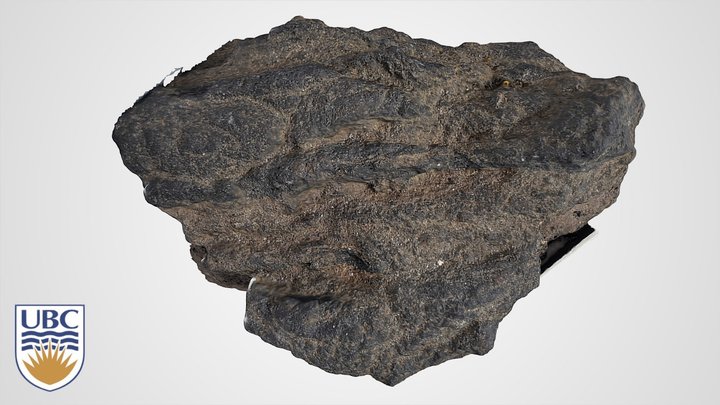 Volcanic Rock #4 3D Model