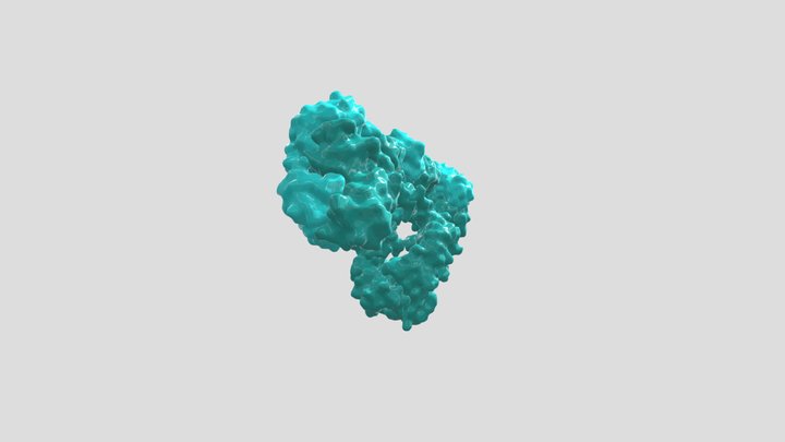 DVD IgG_teal 3D Model