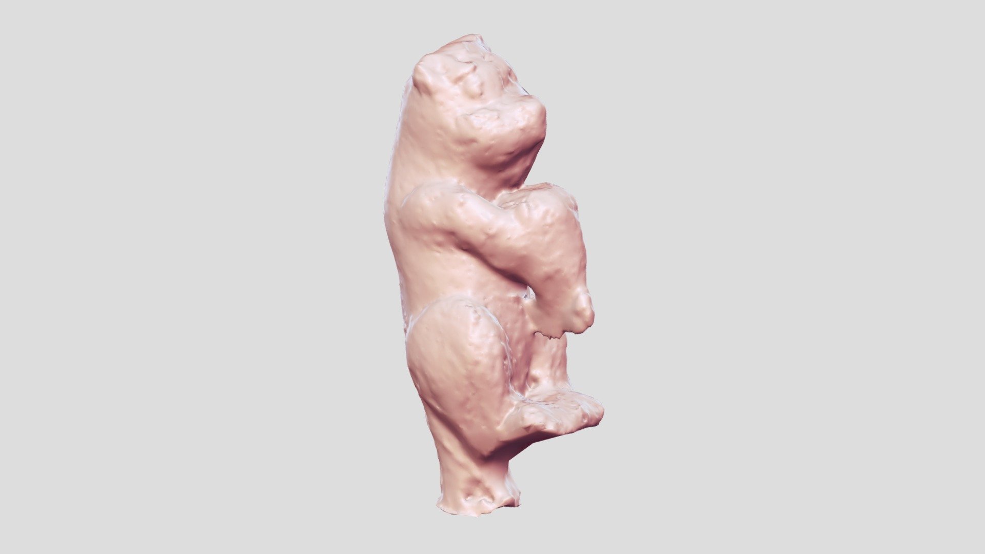 Nutria de plastilina 2