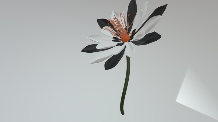 Odd looking Flower 3D Model