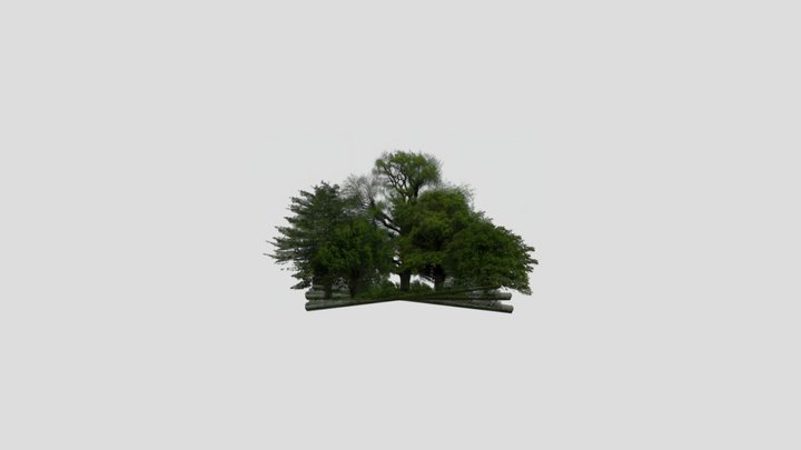 foliage11 3D Model