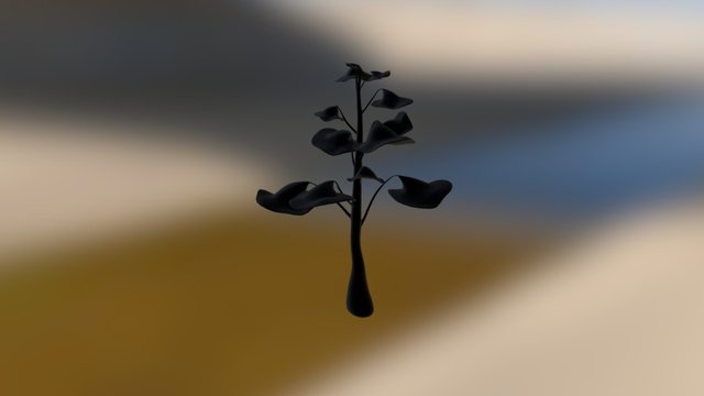 Witchhatty Plant 3D Model