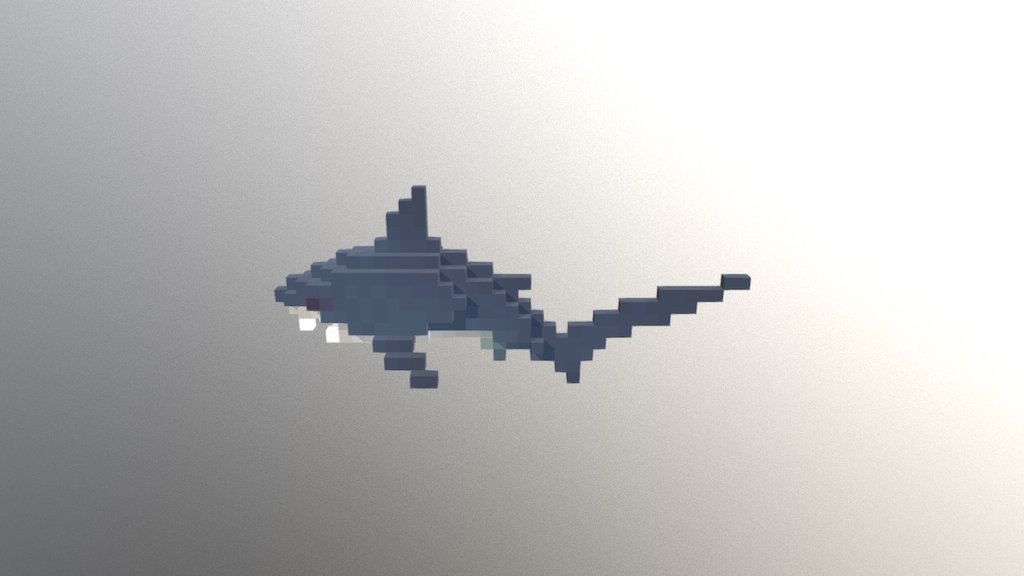 Thresher Shark - 3D model by Fugl [dcdf059] - Sketchfab