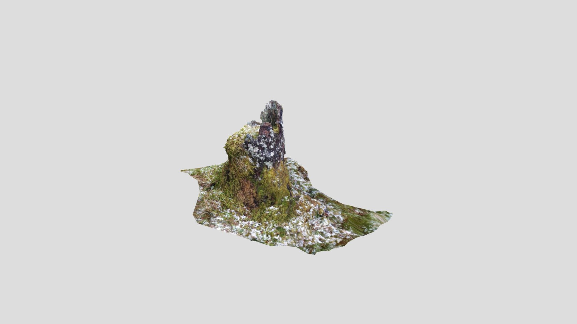 Tree Stump