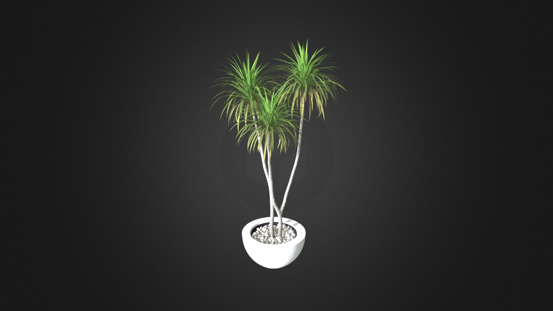 3D model Potted Palm Tree - This is a 3D model of the Potted Palm Tree. The 3D model is about a light bulb with green leaves.