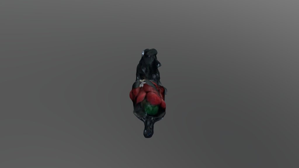 Man