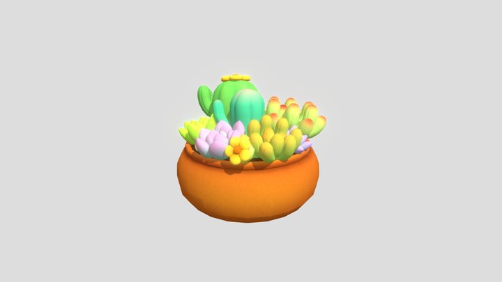 Succulent Plants 3D Model