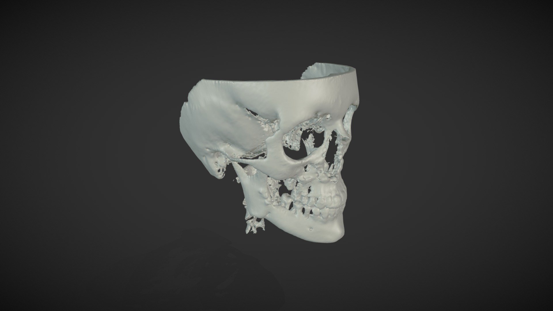 B - 3D Model By Juan I. Cruz R. Smart Anatomy ® (@juigcrra) [dce8992 ...