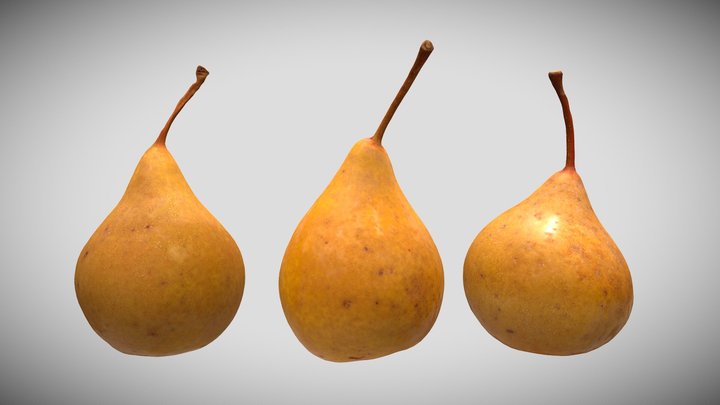 Bosch Pears 3-Pack - 3D Scan - Natural Orchard 3D Model
