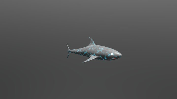 shark radio actieve 3D Model