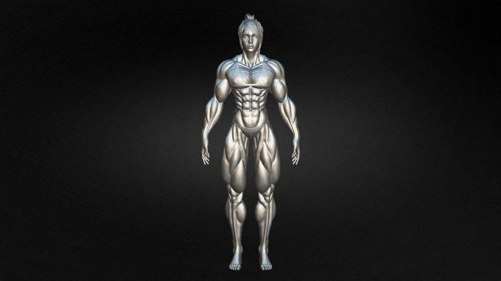 Anatomy-girl 3D models - Sketchfab