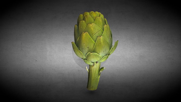 Artichoke