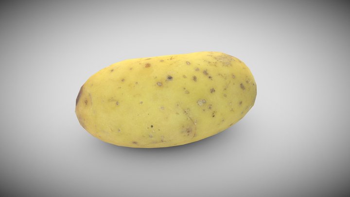 Potato (Photogrammetry) 3D Model
