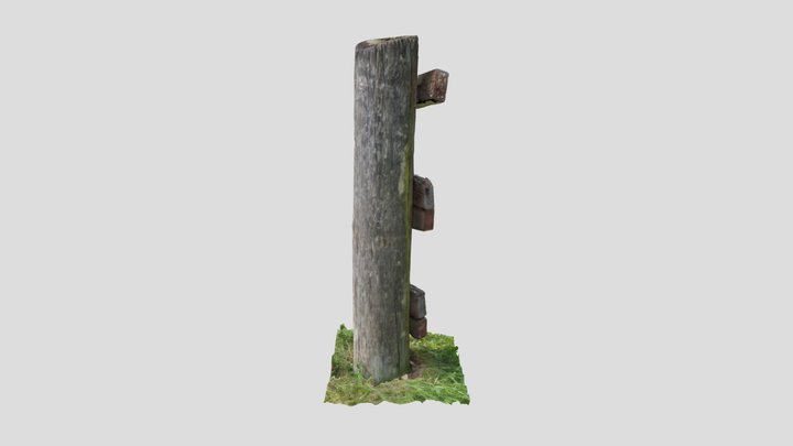 Rotting wooden post 3D Model