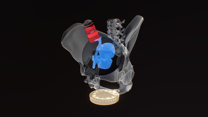 Holographic baby 1999 3D Model