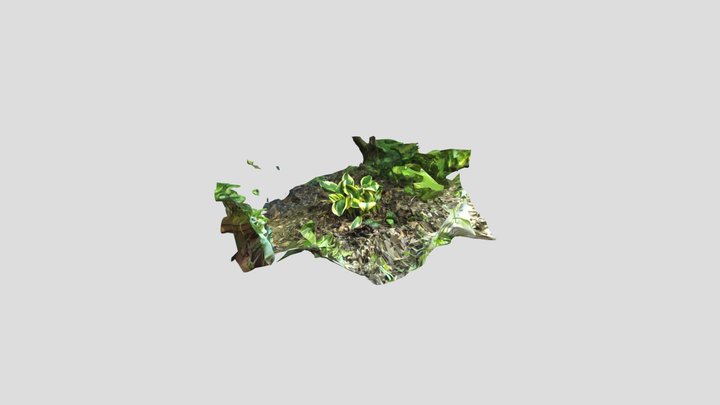 Hosta no mask Kiri – Modèle 3D gratuit STL