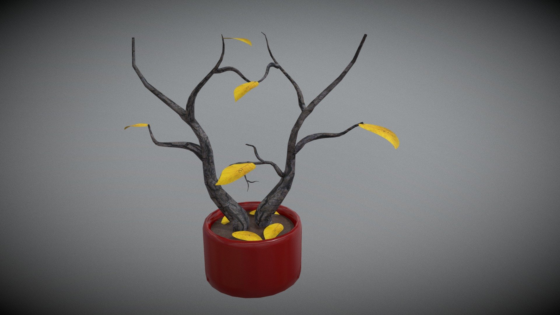 Plant