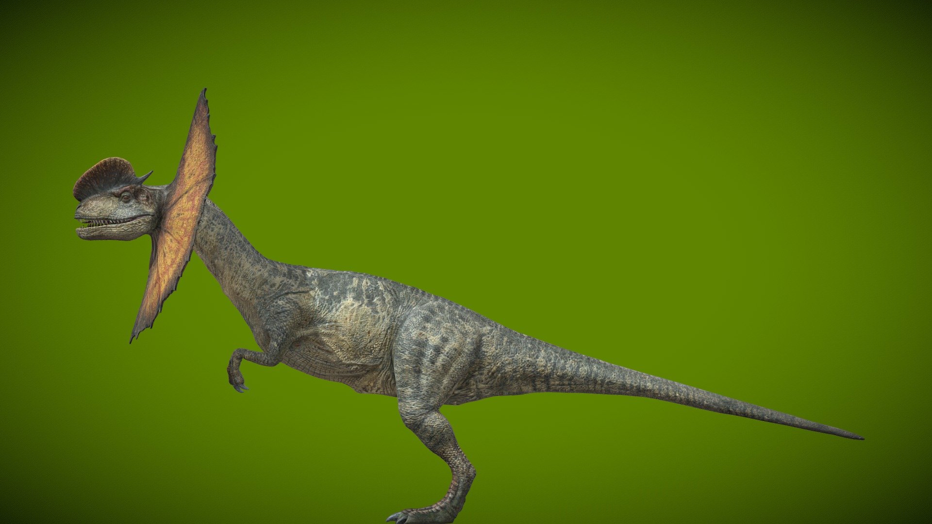 Jurassic World Dominion Dilophosaurus Dinosaur Action Figure – 12-Inch Scale, Realistic Sculpting & Decoration