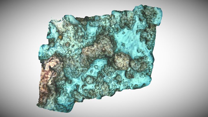 Florida Keys, CFN R6-4 - Hydrus Micro AUV 3D Model