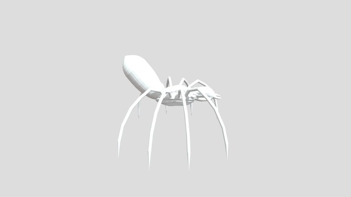 Spider 3D Model