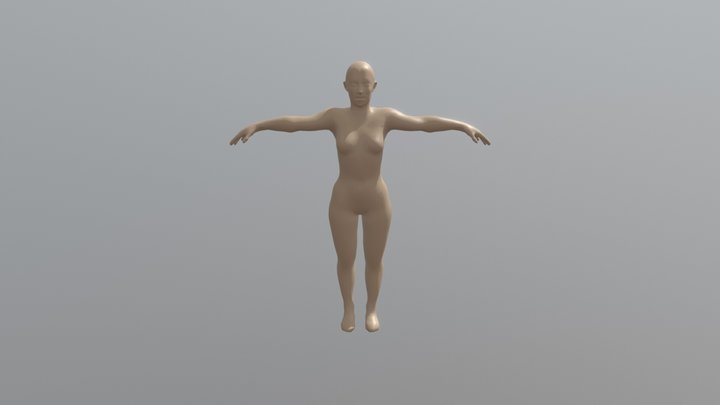 Female Base Model 3D Model
