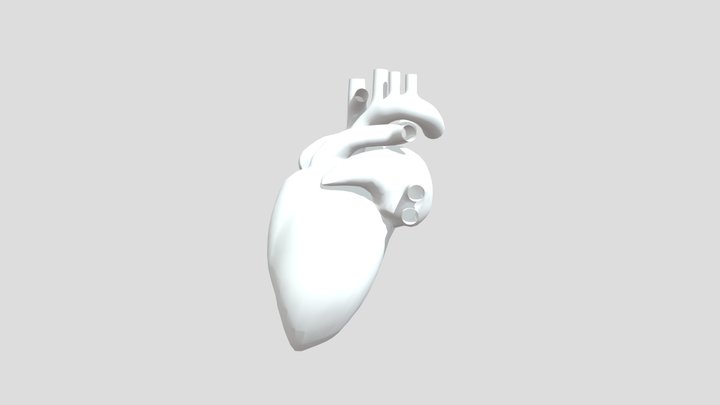 heart slide 7B 3D Model