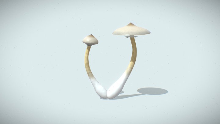 Mushrooms 3D Model