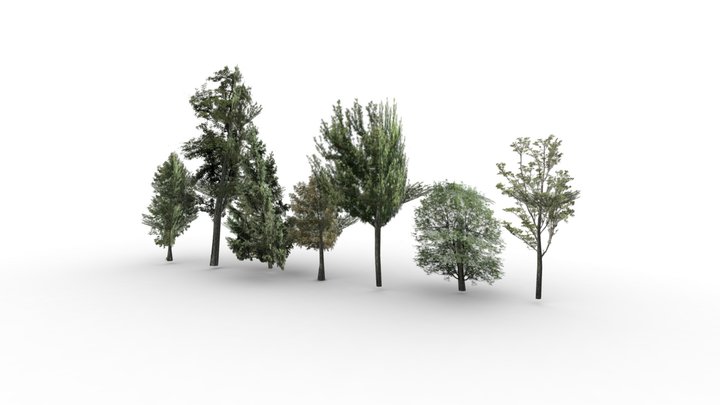 Trees 3D Model
