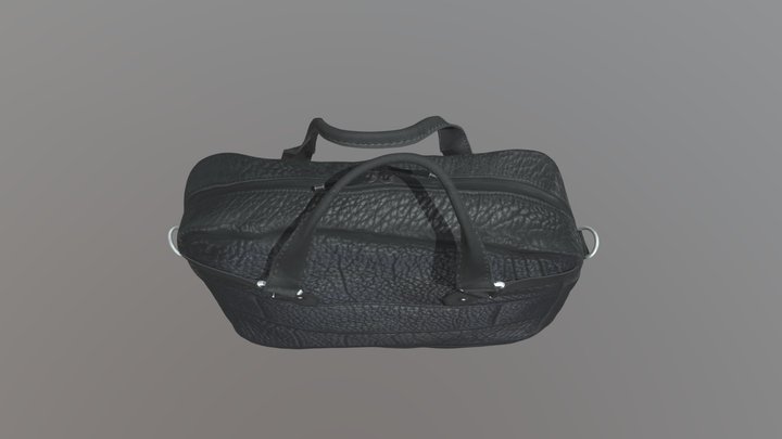 Striptease -- SFBags briefcase 3D Model