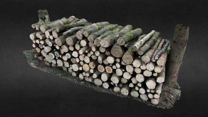 Log pile HQ - Retopology game ready 3D Model