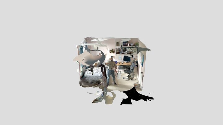 Polycam capture 3D Model