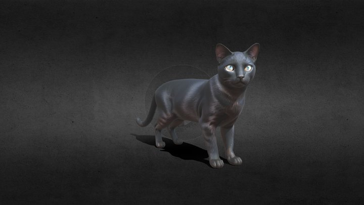 Black Cat