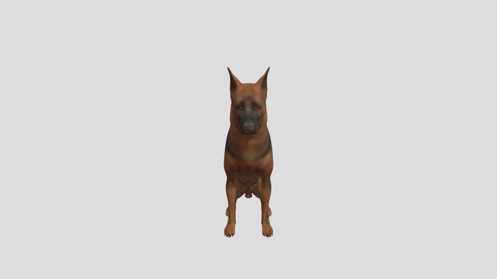 Dog 3D Model
