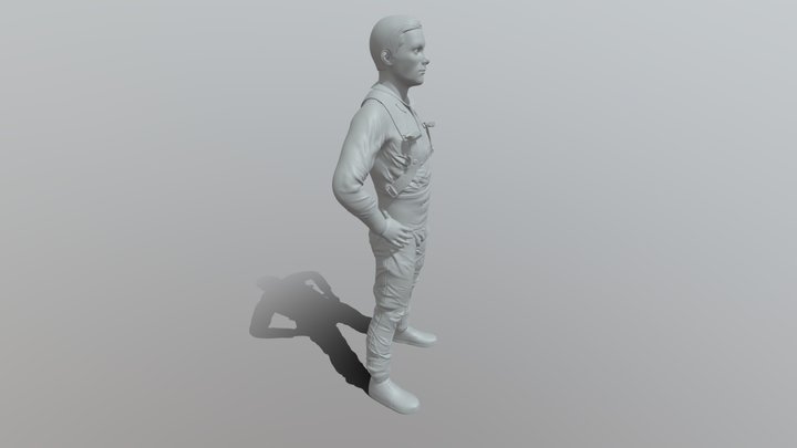 Air Force_pilot 3D Model
