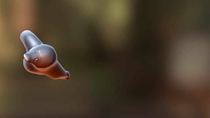 Arara Litelton 3D Model