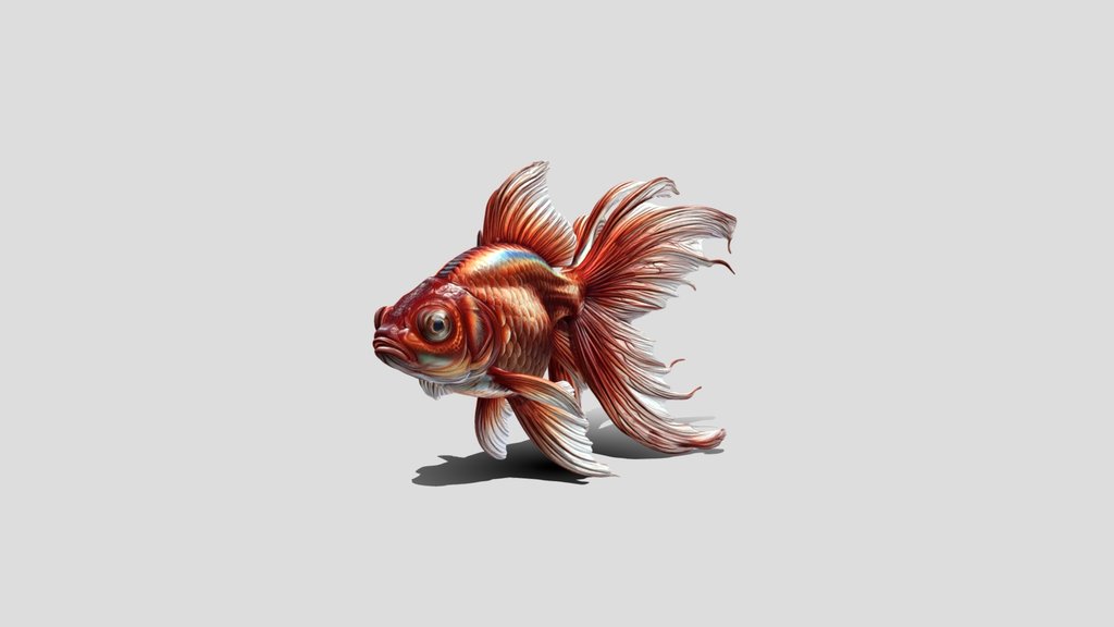 Crimson Cascade red goldfish