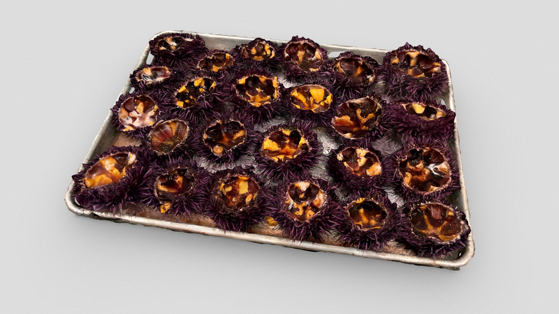 Day 325: Sea urchins