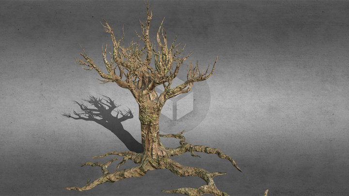Tree (HP) 3D Model