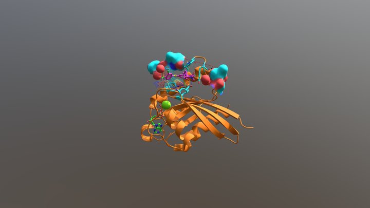 NR1 inhibits the Rheb-mTORC1 interaction 3D Model