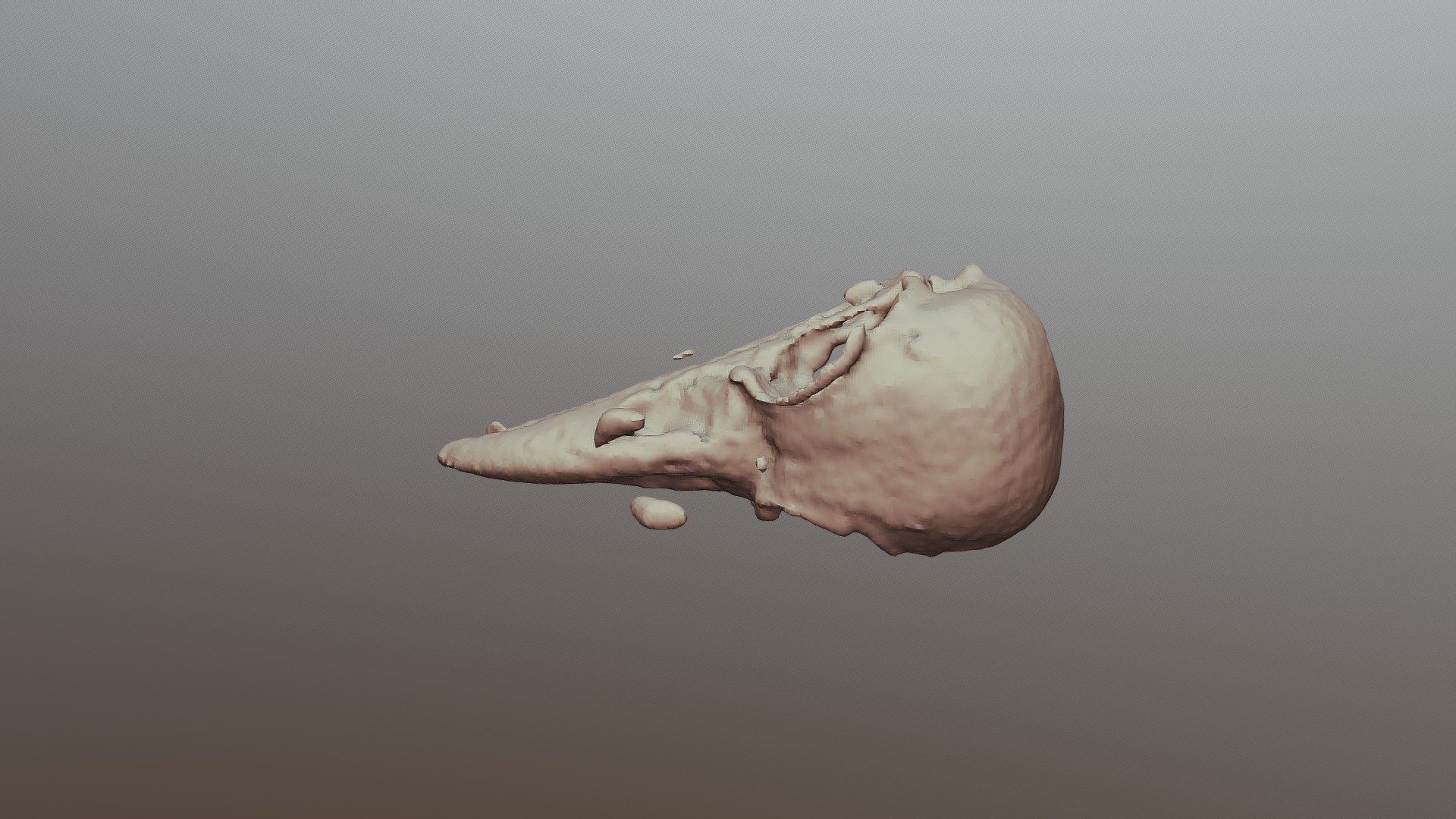 4E-Raven Skull-BC8130