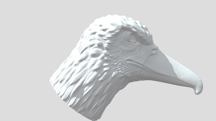 porzingis galva-Eagle_Final_V3 3D Model